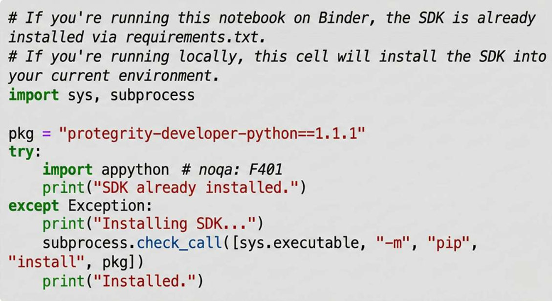 Code snippet showing Protegrity AI Developer Edition usage.